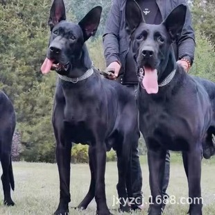 ���l��N��С���N����Ȯ���ͻ��w�����o�lȮ��Ǽܿ�����Ȯ���T��