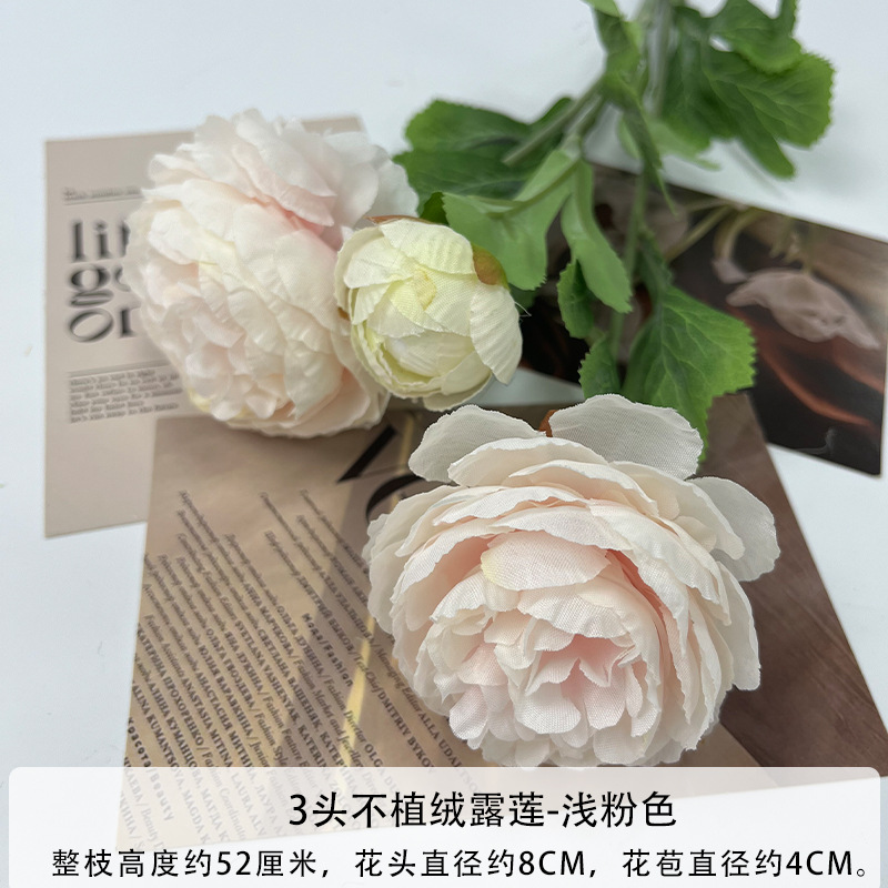 뭉치지 않은 라이트 핑크