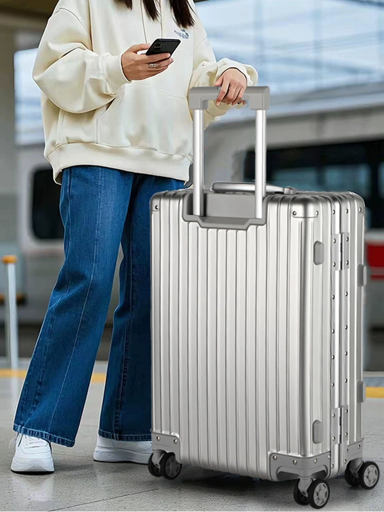 Suitcase, capacious universal bag