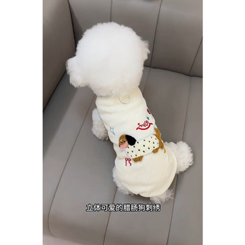 흰 닥스훈트