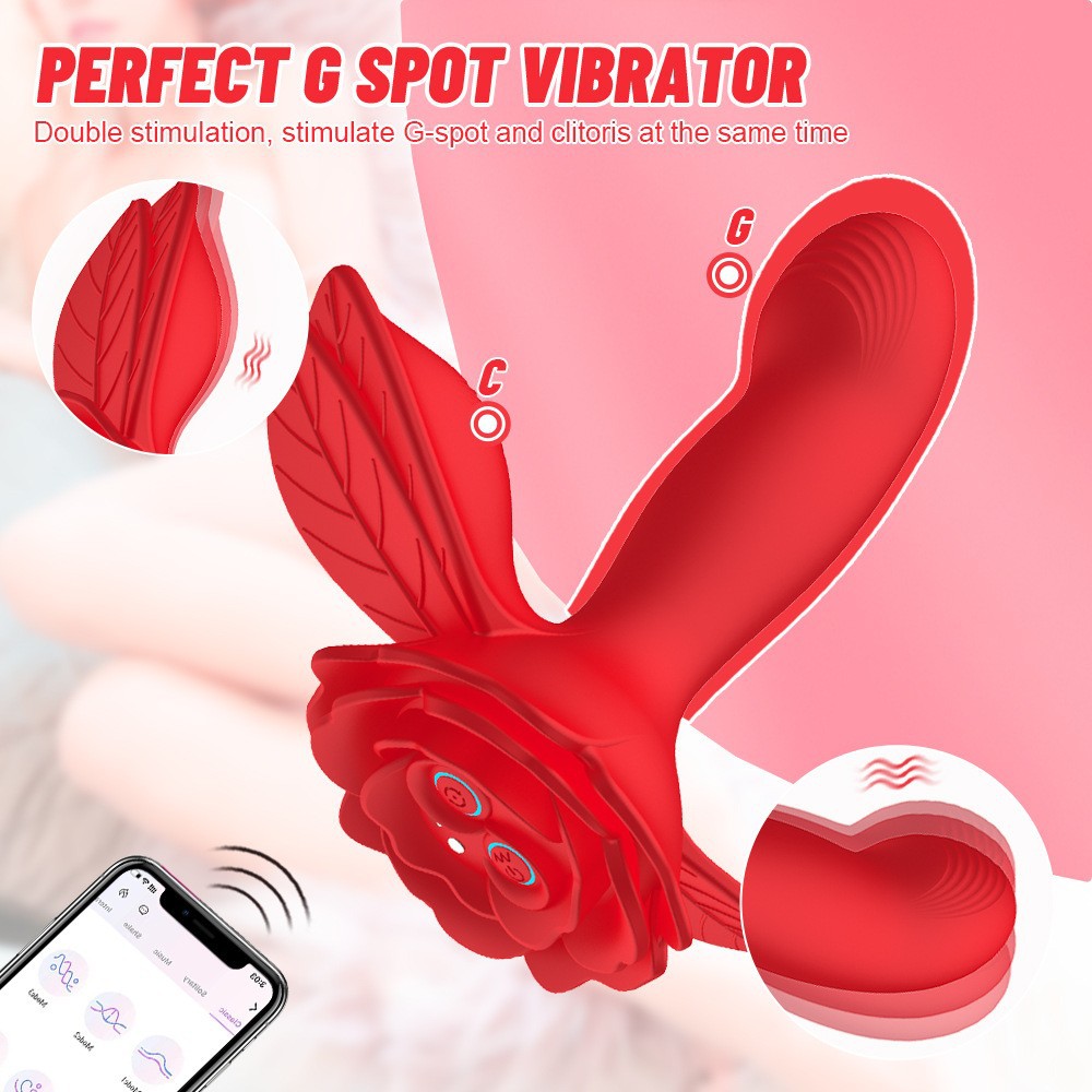 Aurora 1st Generation APP Wireless Remote Control Female Wearable Vibrator Masturbator_voghion.com