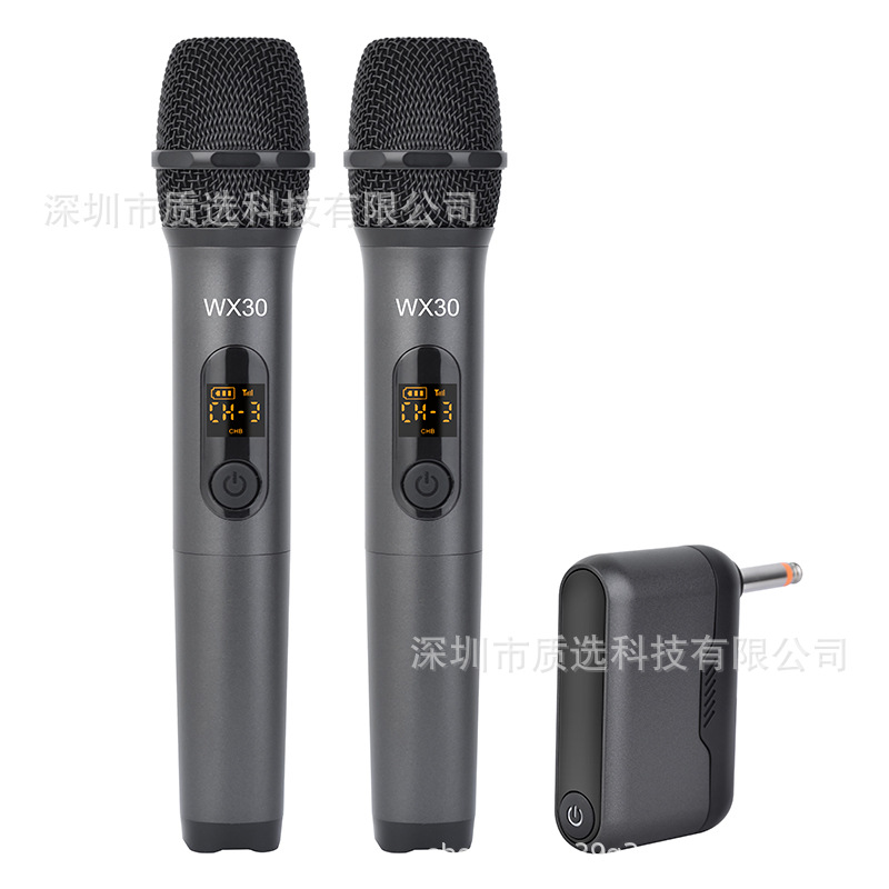 跨境新款WX30一拖二无线麦克风可调频家用K歌唱歌话筒