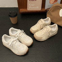 С͹žW͸ⰢЬŮ2024ﶬ¿ٴЬ@_С\Ь