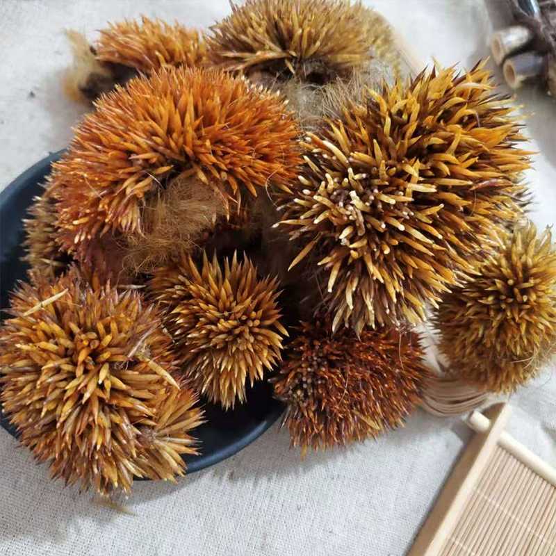 Подлинные товары китайская травяная медицина кожа ежа все сухая Новые товары сказочная одежда китайская травяная медицина Большой выгодно почтовые расходы сушеный Ежик