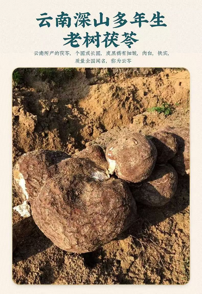 Dried Poria Fu Ling Cubes 500g Yunnan Poria cocos Herbal Decoction Pieces overview