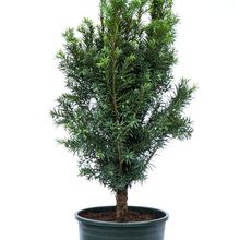 ؁绨܎ͺGֲȩ՚⾫Ʒ