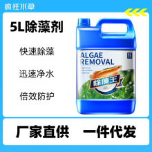 疯狂水草5L除藻剂水族用品鱼缸除绿藻青苔除褐藻黑毛藻鱼池灭藻剂