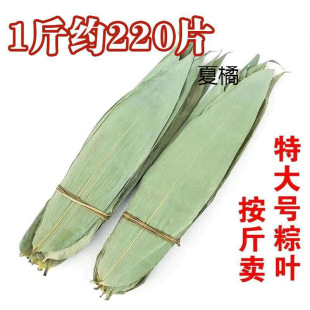 Large Dried Bamboo Leaves for Zongzi, Fresh Bamboo Leaves for Wrapping Zongzi, Commercial Wholesale Materials