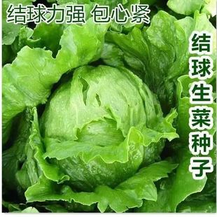 �Y�����˷N���������������Ѱ������˷N��ɳ���������ļ��߲˷N��
