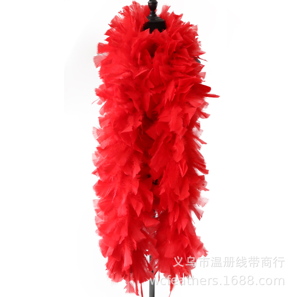 温册平板毛条羽毛拍摄道具T台走秀装饰羽毛条节日装扮服装辅料详情图5