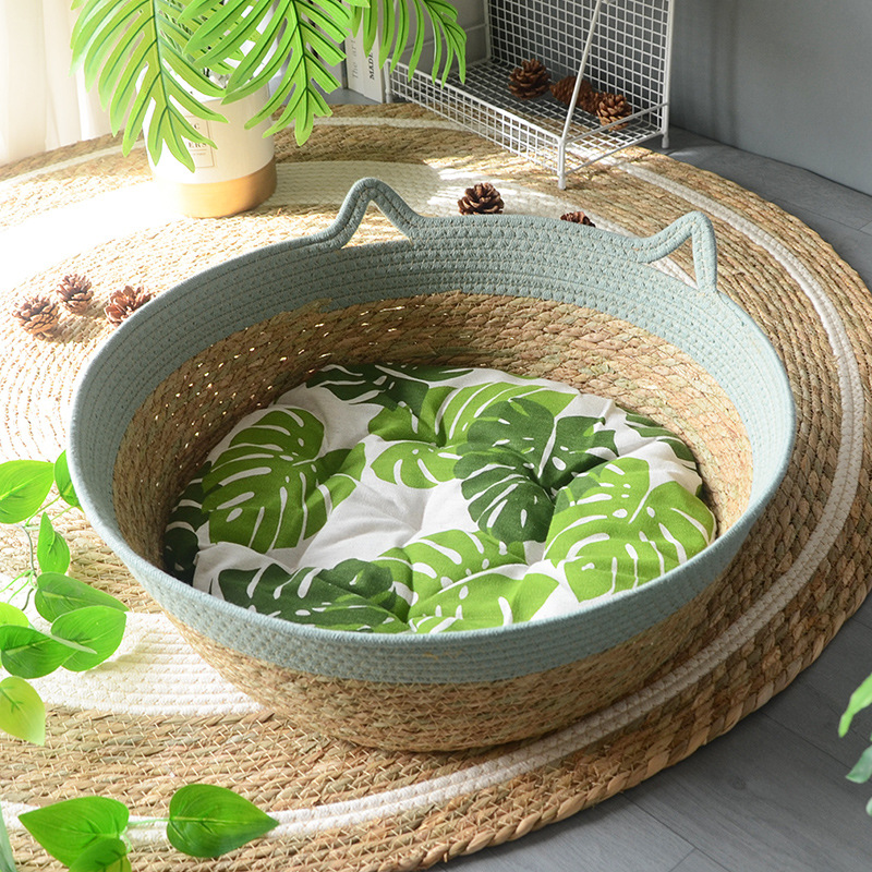 청록색 고양이 귀 소켓 + 녹색 잎 면 패드