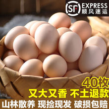土鸡蛋大量批发顺丰可选农家散养新鲜农村林地笨鸡柴草整箱速卖通