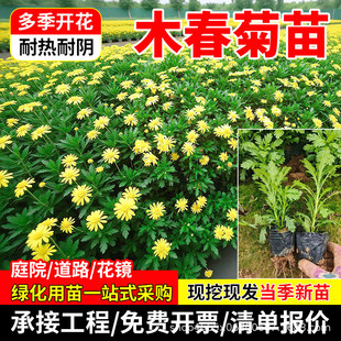 ľ������������ݱ�����ͥԺ�̨�Gֲ�Ϙ��@�־G���������ļ��_��