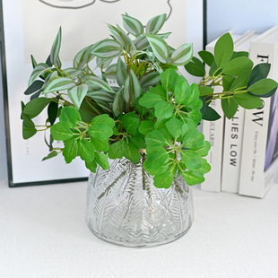 2026���R�d���W�L�����^���~�Gɫֲ�����͏d�b��̨�����~