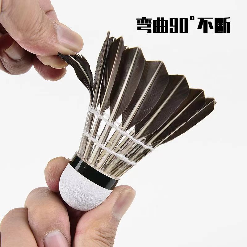 624edba0-731c-4dec-ba2a-784ef2a6f840.jpe