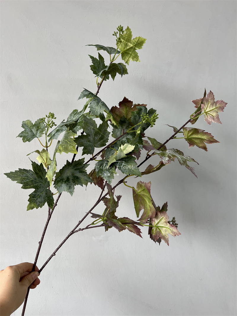 Grape leaves