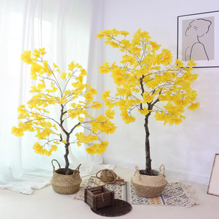 �����y�Ә��҃ȼҾ��b���侰�^�쾰�y�Ә����ؼپGֲ����