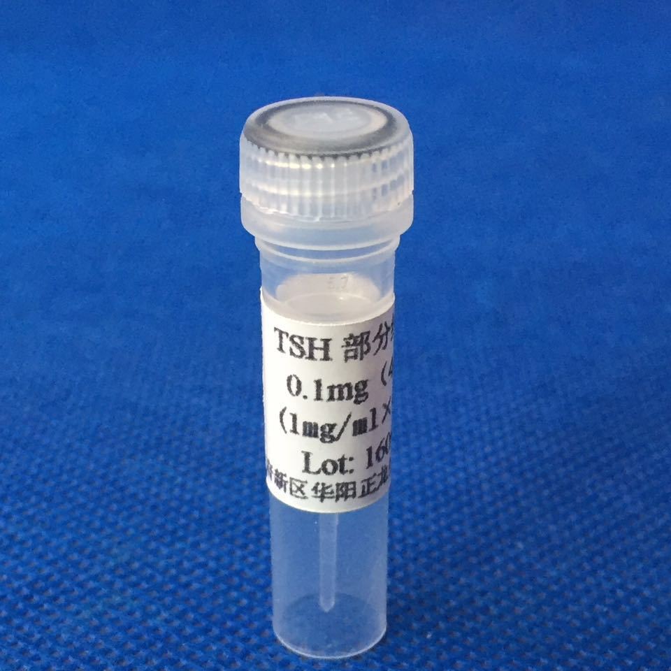 TSH���ִ���Ʒ��������ʹ�ã�