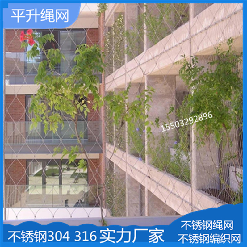 不锈钢绳网植物爬藤网 百香果钢丝绳编织绿化网 304绿植装饰绳网