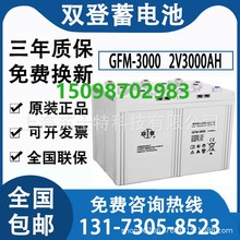 双登蓄电池GFM-3000双登2V3000AH直流屏通信基站船舶电厂后备电源