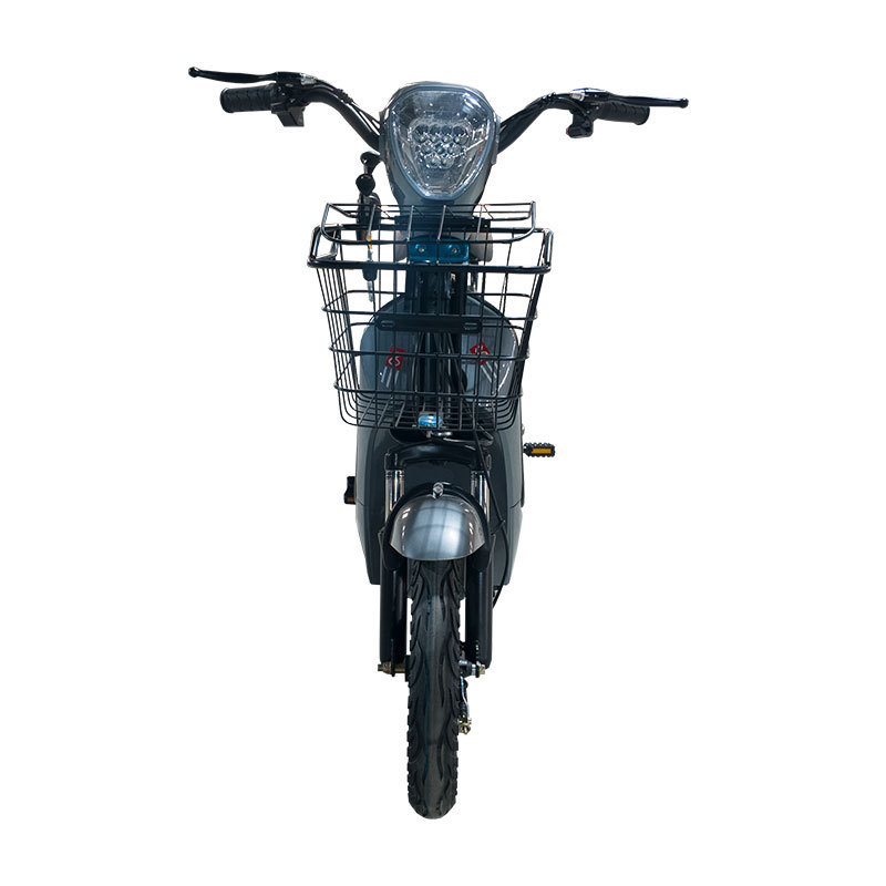 Comercio exterior transfronterizo Vehículos eléctricos Vehículos eléctricos de transporte para adultos Viajes al extranjero Vehículos para llevar Golden Eagle Vehículos eléctricos de exportación transfronterizos