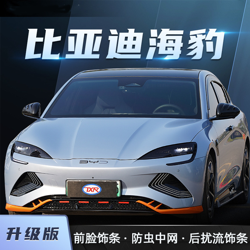 BYD Seal üçün böcək qoruyucu barmaqlıq və ön bəzək dəsti