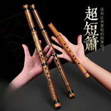箐楷零基础入门洞箫便携苦竹短萧迷你小笛子古风六F调初学萧乐器