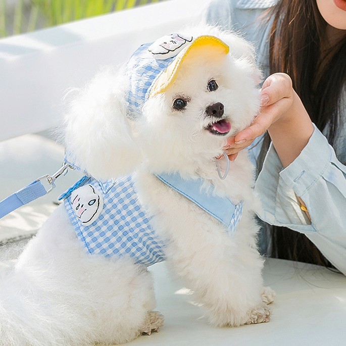 Corda de tracción para perros, cinturón de pecho para mascotas, chaleco para caminar, artefactos mágicos, Teddy Bear, cuerda para perros pequeños y medianos