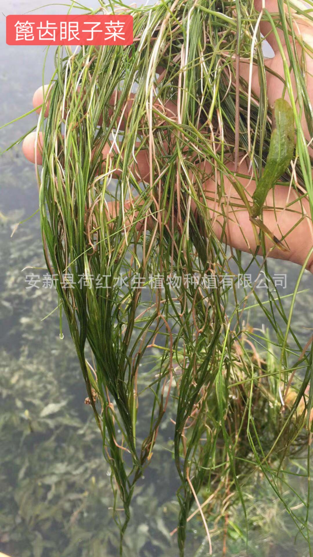 mmexport1568163273890