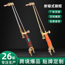 ؛Դ����G01-30/100�Ͳ��P�����ʽ��潨�B늺����I���߸����