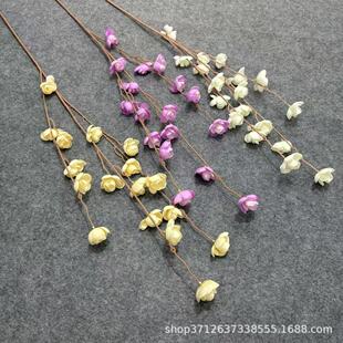 ��֦���_�m���滨���G����Y�þ��l����b����̈������ӼҔ[��