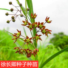 ���L���в�șֲ�����~����ǧ���N�ӷN��ͥԺ���ԾGֲ�����׻�