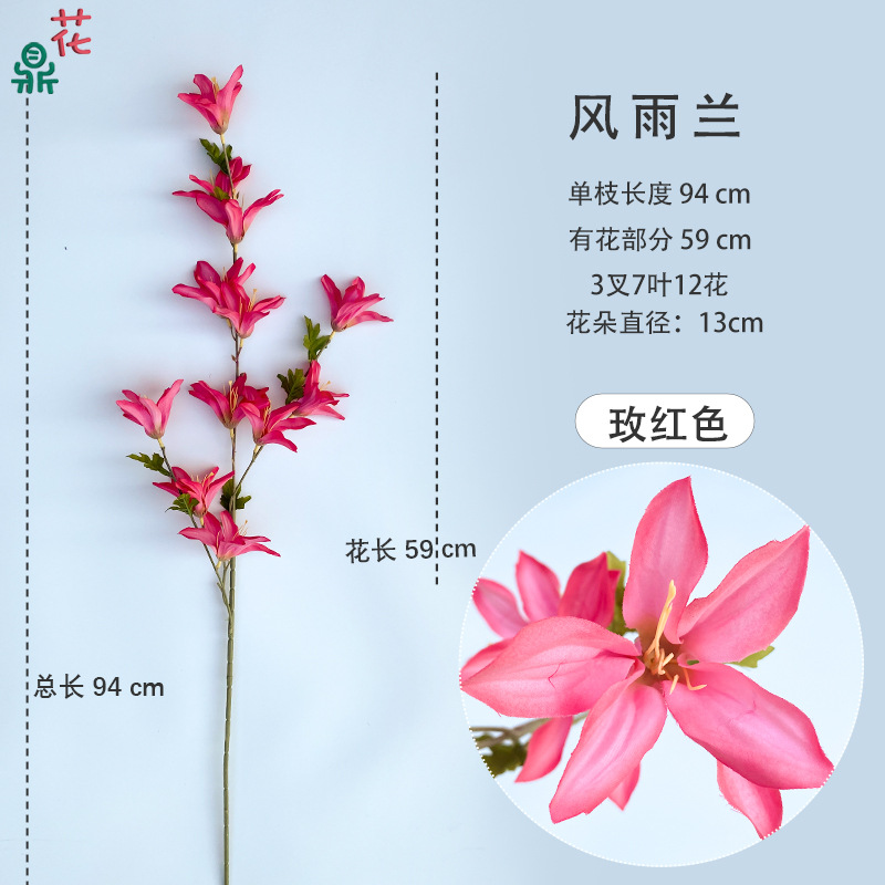 바람과 비 난초는 빨간 장미