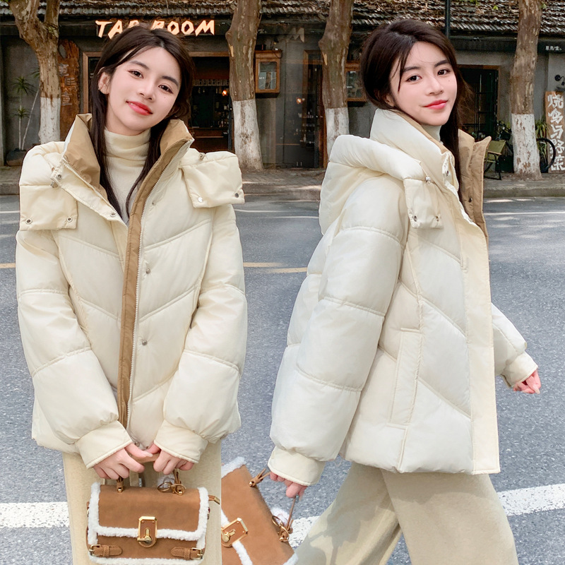 2024 invierno de algodón encapuchado chaqueta de plumón de mujer literatura de color sólido pequeño cierre de pan caliente ropa de algodón image 8