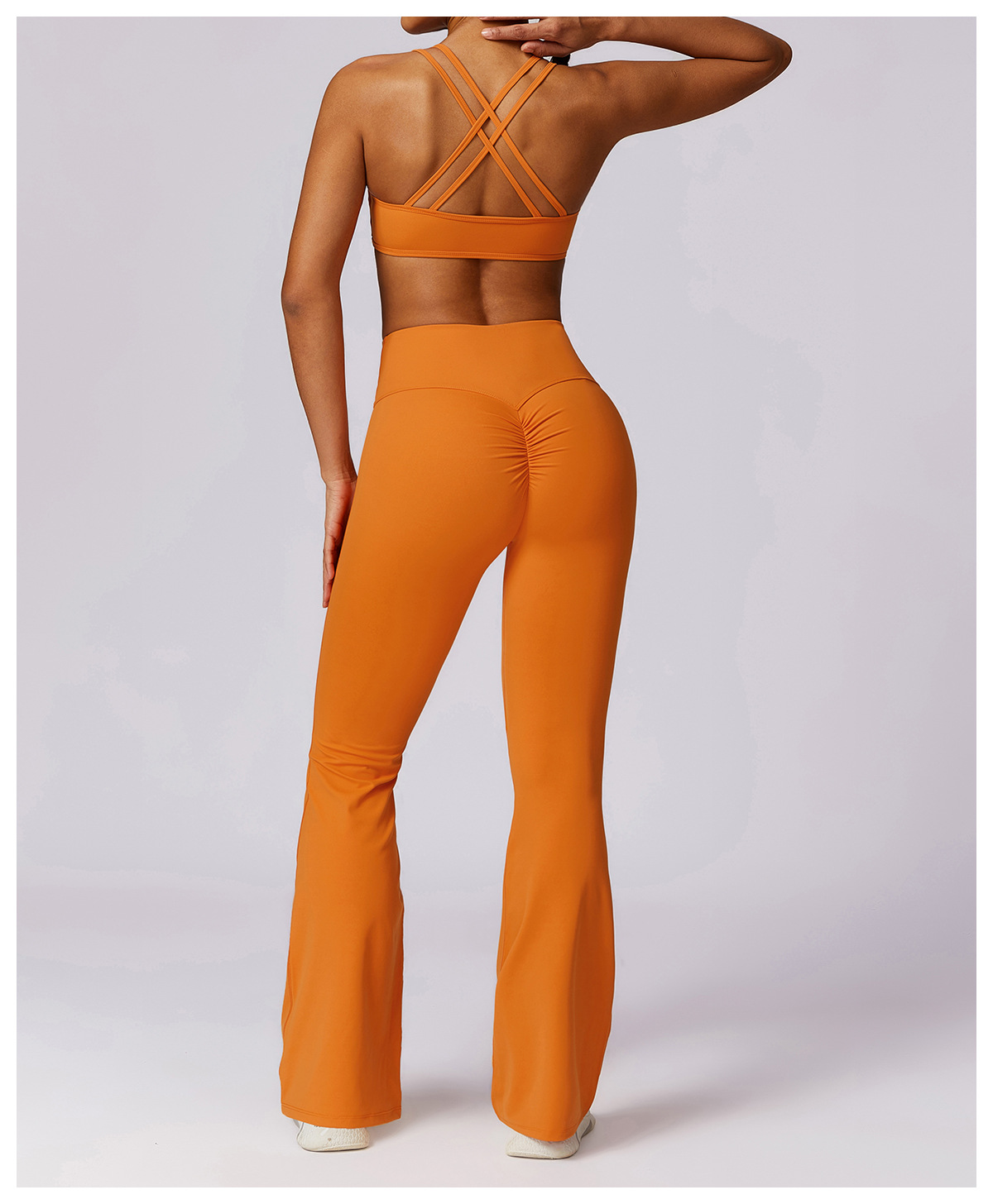 2024-1-16泽创 104903.jpg