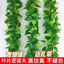 ����Gֲ�G�}�~���ϼٻ��b��҃ȾG����ֲ��٘��~�ڒ��ړ��G�~��