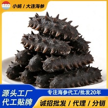 大连海参工厂直供海参半干海参辽刺参大连海参拉缸盐大火支持贴牌