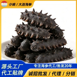 大连海参工厂直供海参半干海参辽刺参大连海参拉缸盐大火支持贴牌