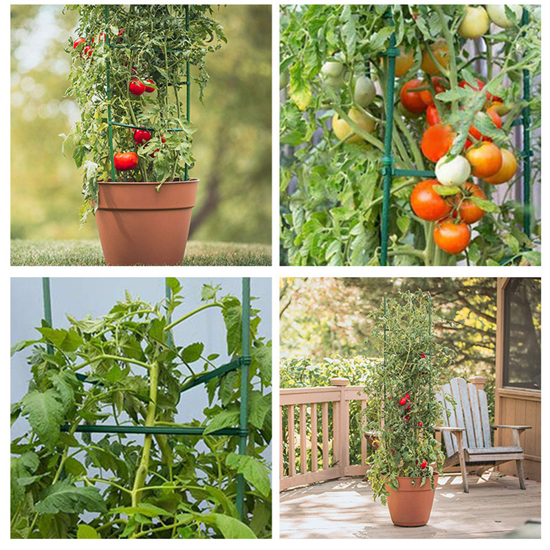 Soporte de tomate soporte de flor soporte de tomate planta de jardín tubo de acero recubierto de plástico soporte de uva Rosa Stand balcón
