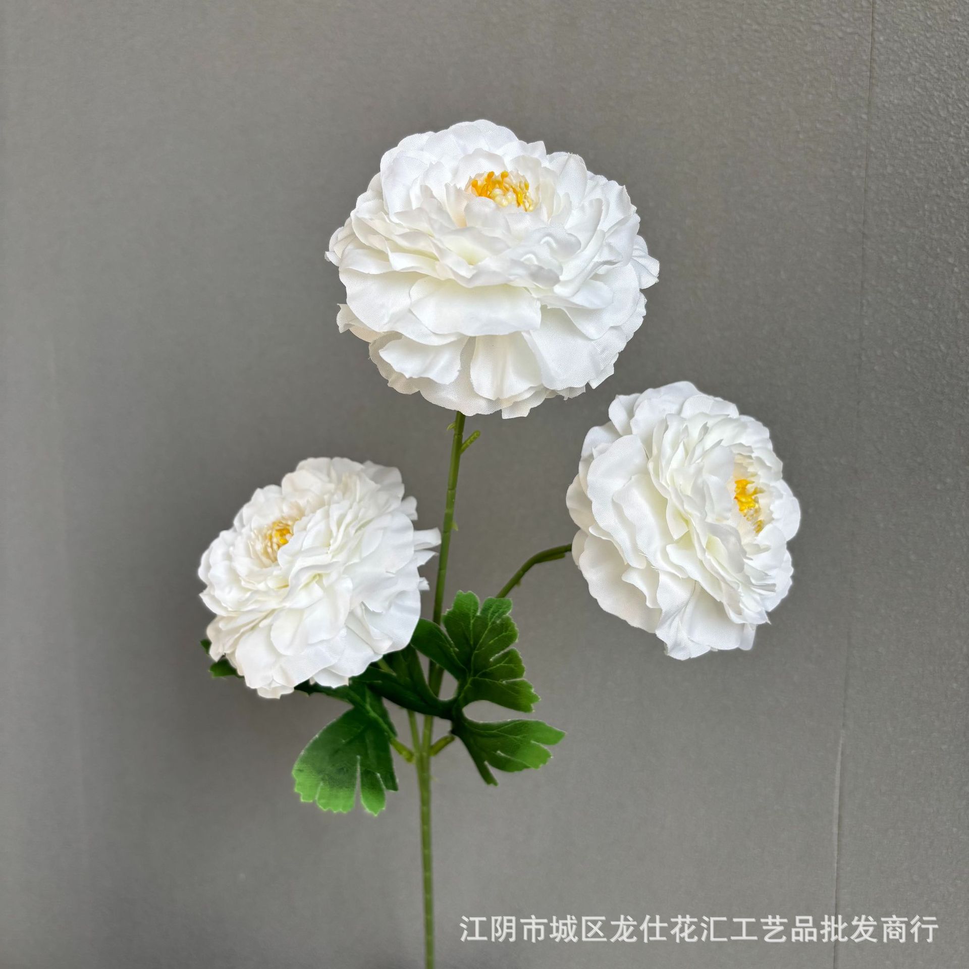 잉어 모란