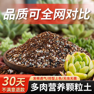 ����I�B���w�����������Nֲ�������B��ͨ������ֲ̿�ﻨ�����ʯ