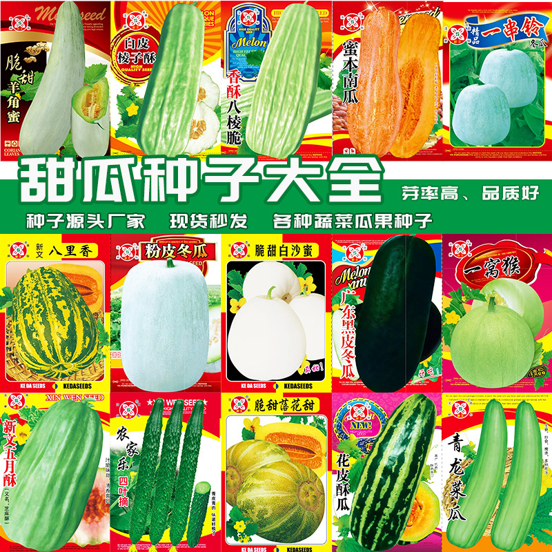 春季甜瓜种蔬果种子水果香瓜西瓜哈密瓜种子甜瓜种子多款瓜种