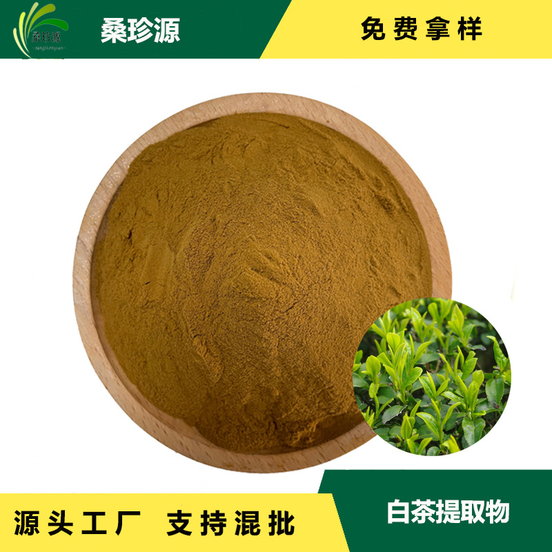 厂家现货白茶提取物  白茶原料萃取 现货直销白茶粉品质保障