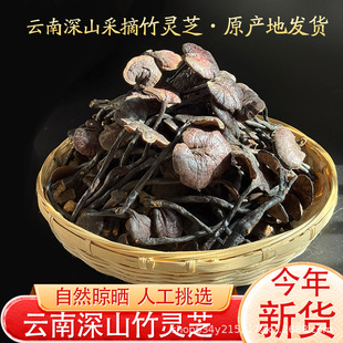 �����ɽ���`֥ ����֥ �`֥ ��֥��֦�`֥���`֥ ���`֥��Ƭɢ�b