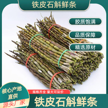 现采新鲜铁皮石斛鲜条仿野生铁皮石斛干条可直播供货零售煲汤石斛