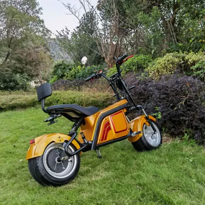 Elektrikli motosikletlər adult electric car