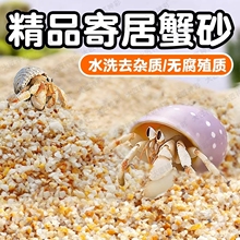 寄居蟹用沙子海沙养相守蟹螃蟹沙蟹细沙乌龟冬眠沙鱼缸底砂
