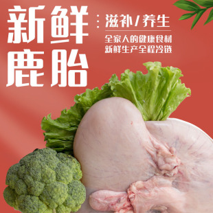 ���¹�I ���l÷��¹¹Ѫ̥ ��¹̥ �r¹̥ ¹̥�P ¹��һ�����l