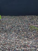 天然鱼缸底砂雷龙专用雨林沙鼠鱼虾虎用沙子南美热带鱼造景水草缸