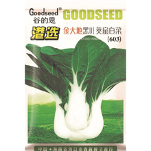 古德斯种子厂家直售批零大田蔬菜种子香港金大地黑叶葵扇白菜(603